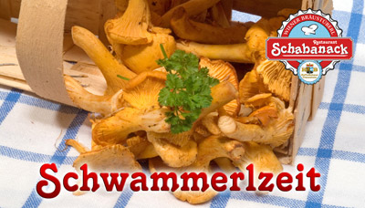 Schwammerlzeit